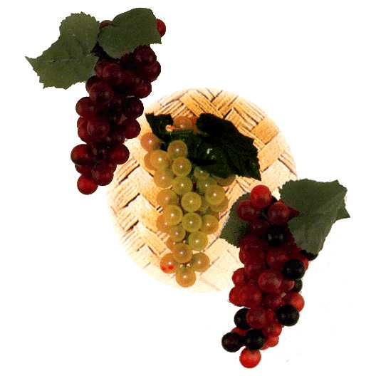 Assorted Grape Clusters Sukkah Decorations -Perfect For Sukkot
