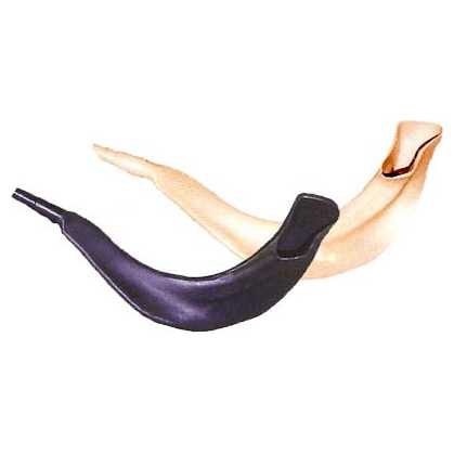 Beige Realistic Toy Shofar