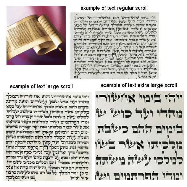 Megillah Esther Scroll - Chabad Large -Perfect For Purim