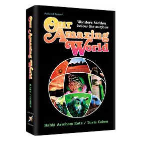 Our Amazing World - Hardcover