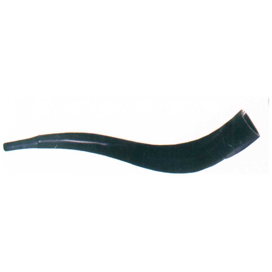 Realistic Toy Yemenite Shofar