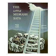 The Little Midrash Says 1: Beraishis/genesis