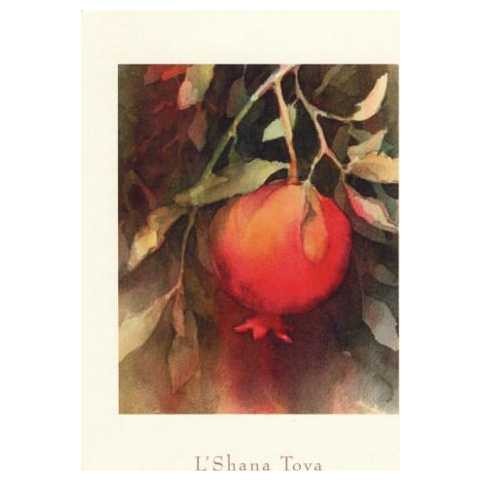 The Ripened Pomegranate - Box Of 10 Cards -Perfect For Rosh Hashanah
