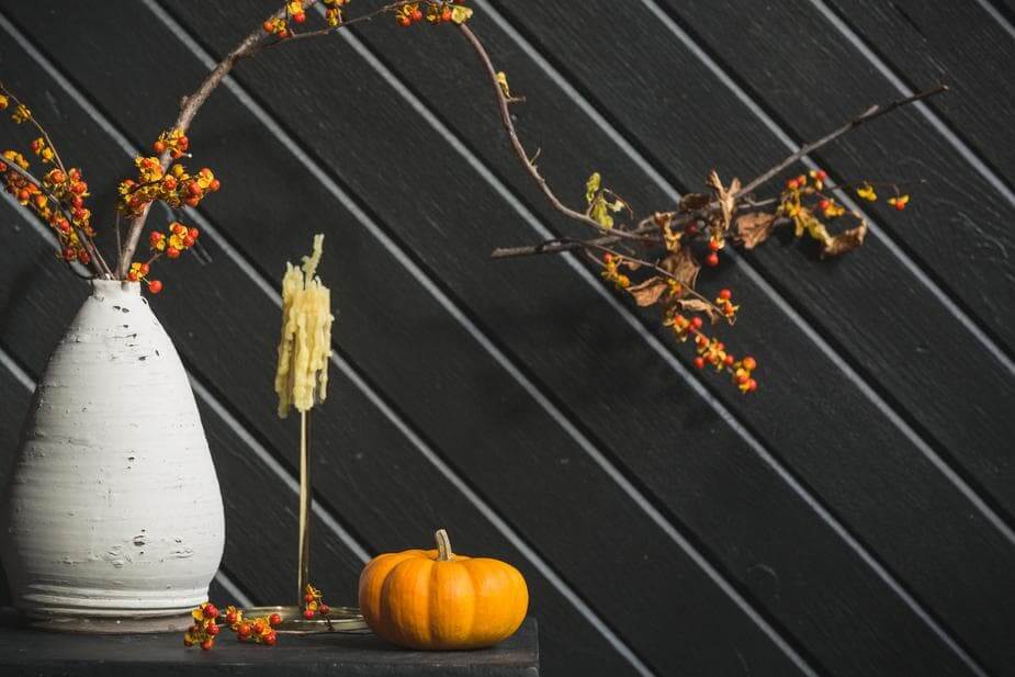 Fall Faves