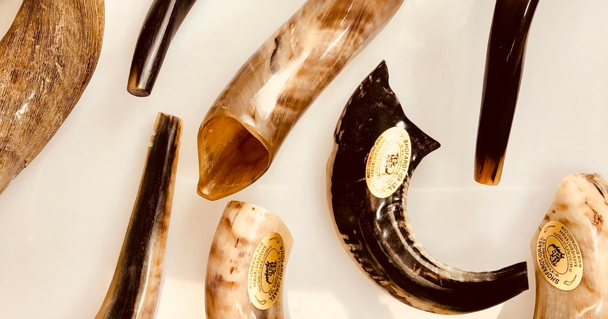 Rosh Hashanah Shofars