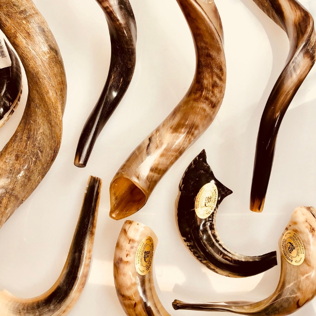 Rosh Hashanah Shofars